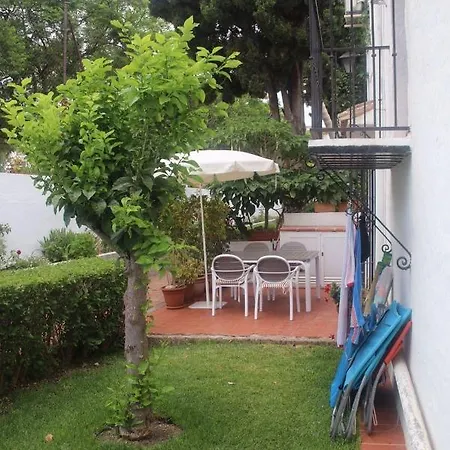 Nueva 21 Menyber *