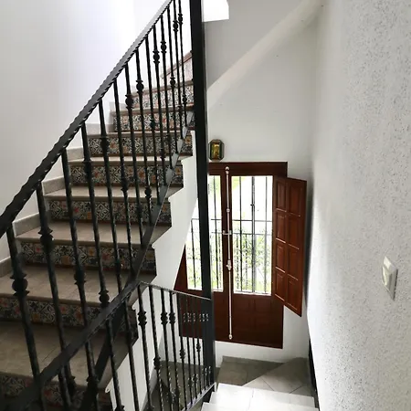 Nueva 21 Menyber